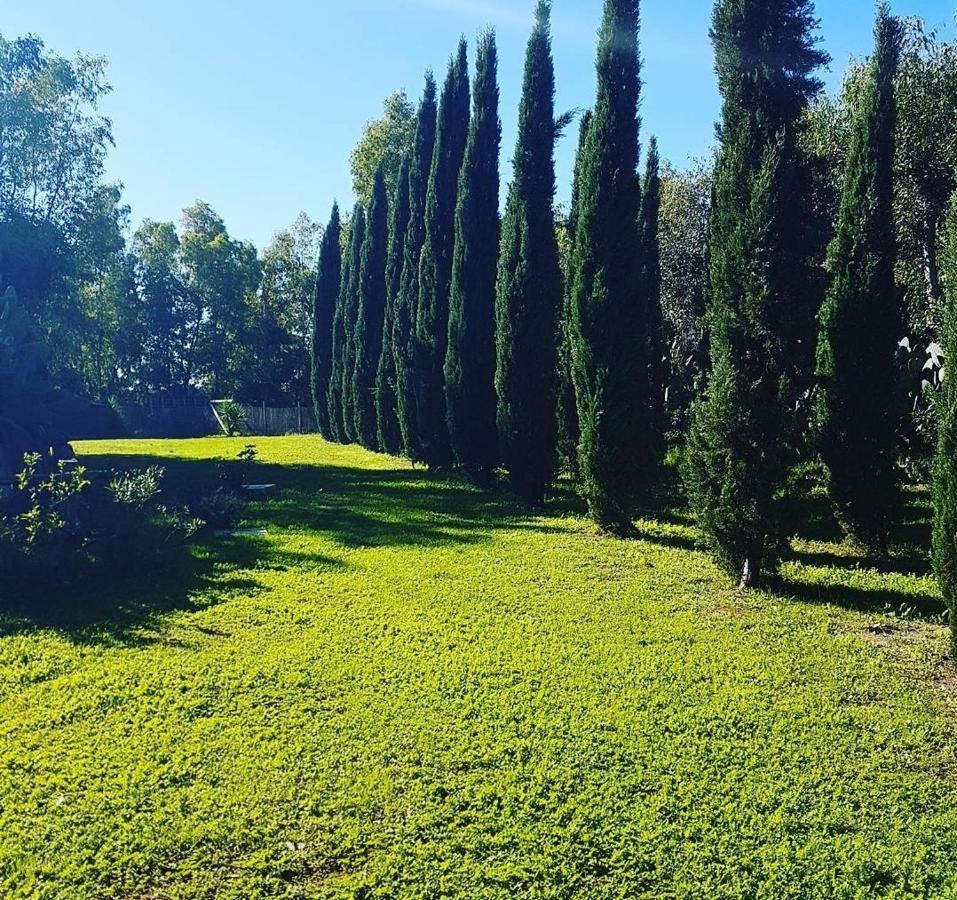Il Piccolo Borgo Apartment Montalto di Castro Exterior foto