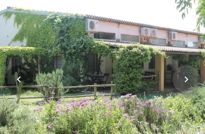 Il Piccolo Borgo Apartment Montalto di Castro Exterior foto