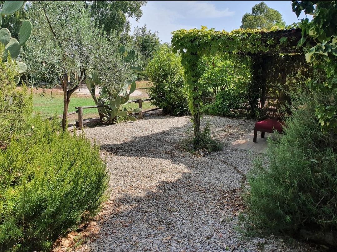 Il Piccolo Borgo Apartment Montalto di Castro Exterior foto